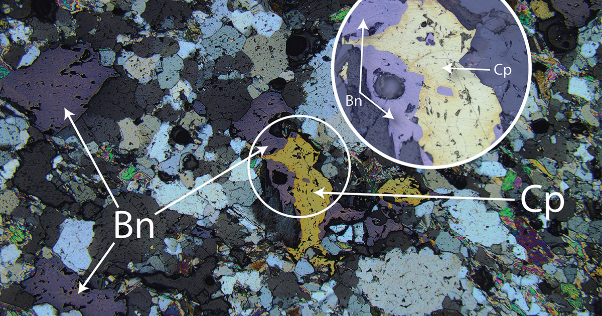 May25_PioneeringProfit_1200X630 May25_PioneeringProfit_1200X630